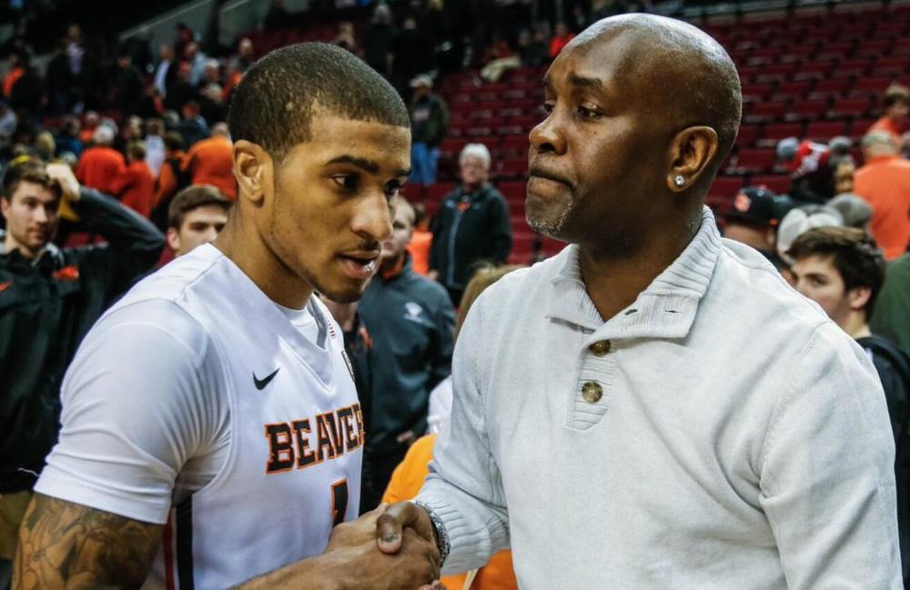 野来自细节 野来自细节